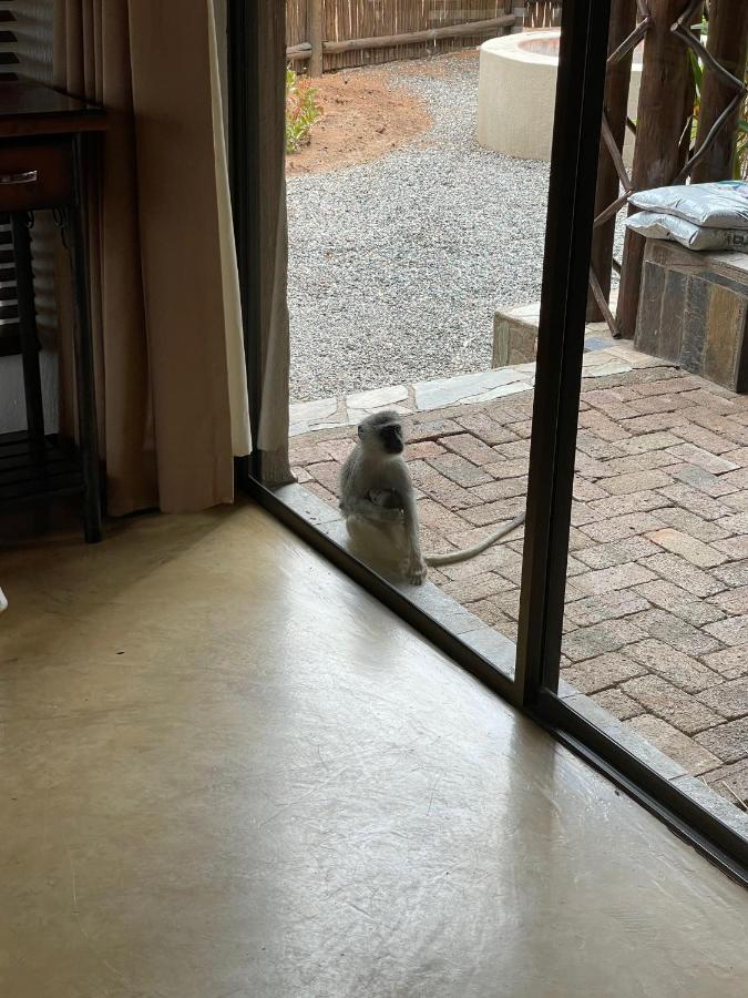 The Cheetah Rest Villa Hoedspruit Eksteriør billede